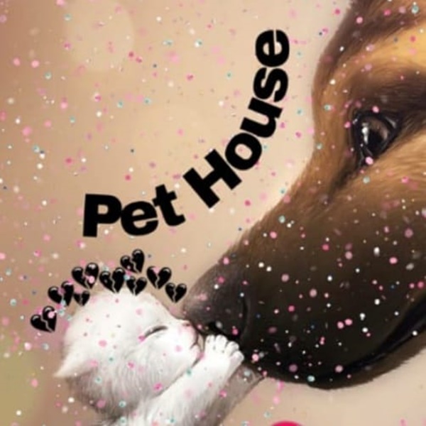 Pet House 20