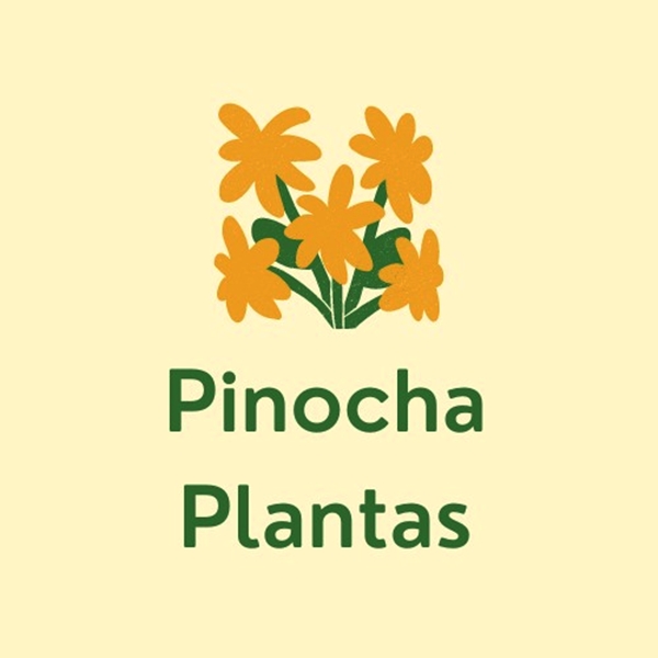 Pinocha Plantas