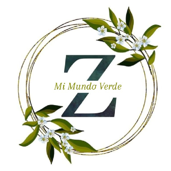 Mi mundo verde plantas